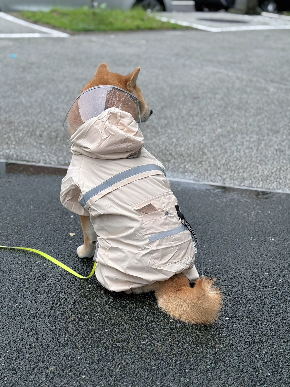奶茶色寵物雨衣