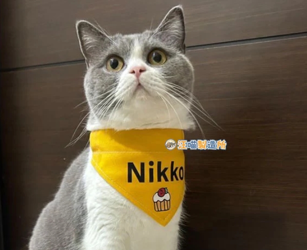 寵物客製口水巾